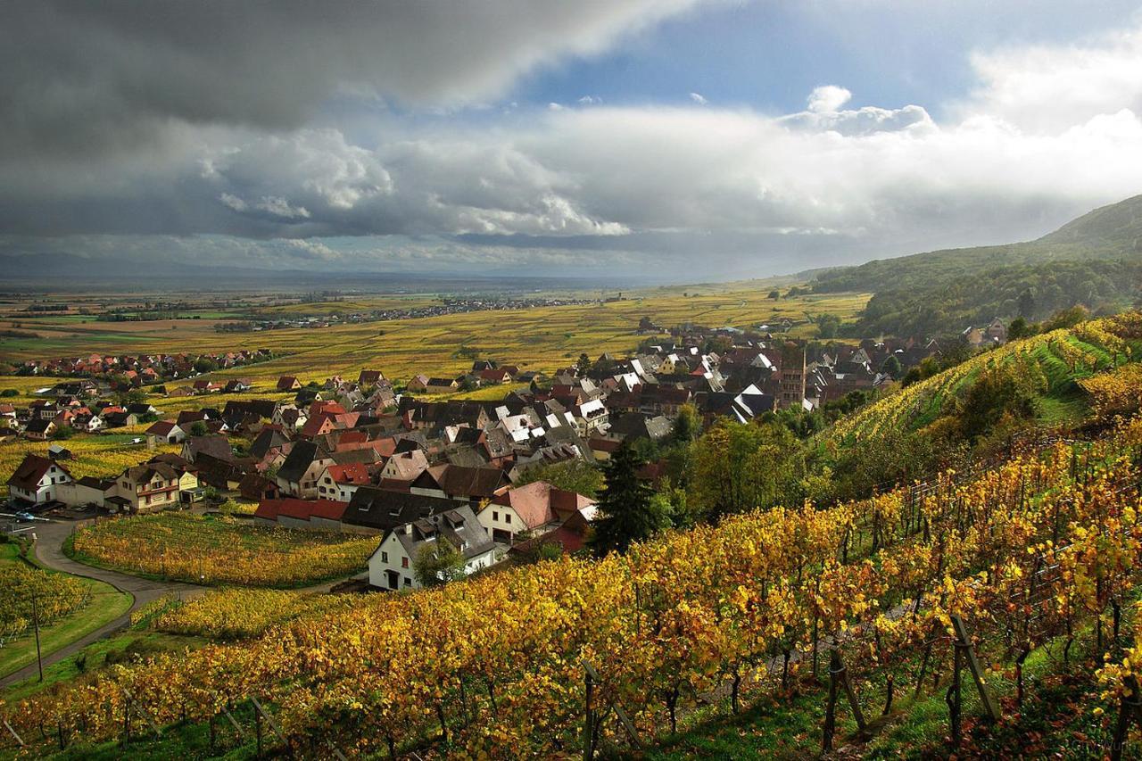 Chez Christian Apartment Breitenbach-Haut-Rhin Bagian luar foto